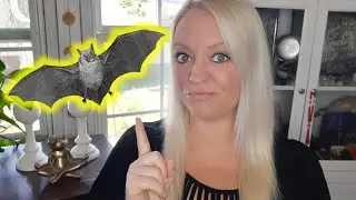 Spiritual Meaning of Seeing a Bat | Symbolic Significance of Bats (Animal Omens and Symbolism)