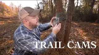 Setting Up Trail Cameras for DSLR Camera Traps