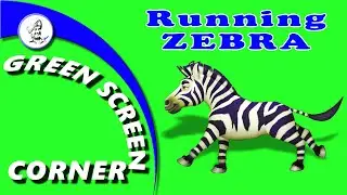 RUNNING ZEBRA Green Screen Video Chrome Key Animation Green Screen Corner Animals Children Kids