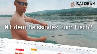Mit dem Beissindex gezielt auf Barsch? Mit captain_fishhook am Greifensee #icatchfish #perch