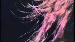 Metallica - Enter Sandman