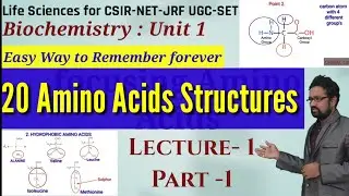 Lecture1- All Amino Acid Structures | Hydrophobic | Polar | Charged | Basic | Acidic | Special Types
