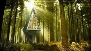 Single Pole House | Primeval Symbiosis By. Konrad Wójcik