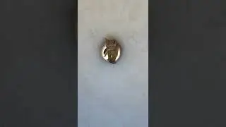 эксперт