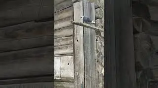 У водоема