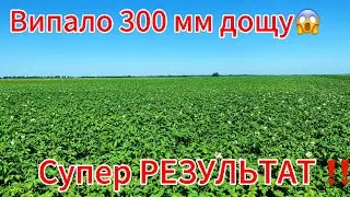 Нас знову ЗАТОПИЛО😱СУПЕР КАРТОПЛЯ‼️