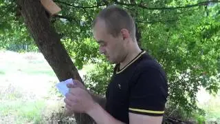 ОД Спрут. Третий путь. Квест Дмитрия Минакова