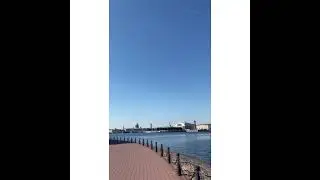 Медовый СПБ