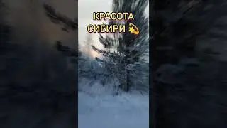 Сибирь 💫. 