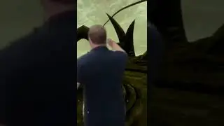 When you finally catch the dude that's been stealing your dragon souls