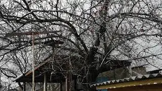 И смех и снег)))