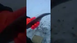 Как чистить рыбу кёрхером