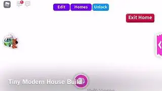 Tiny House Tour