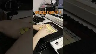 making samples from ICE 🥶 