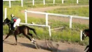 Horse racing in Nevis 18 - Dominquero wins shocker