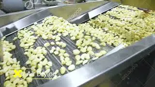Industrial Garlic Peeling Grinding Machine Line #garlic #machine