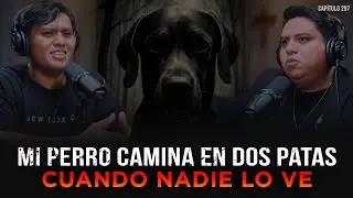 Historias Perturbadoras de Animales Extraños: Mi Perro Camina en 2 Patas cuando Nadie lo ve