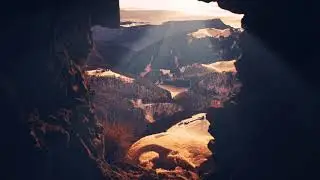 BRAUNFUFEL - The End