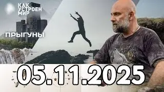 Прыгуны — Как устроен мир с Тимофеем Баженовым (05.11.2025)