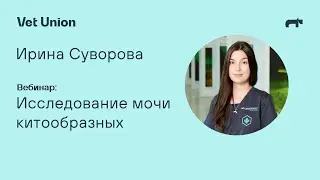 Исследование мочи китообразных