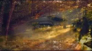 JOHN DENVER - SUNSHINE ON MY SHOULDERS - (HQ-856X480)