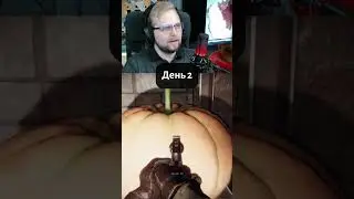 просто делюсь играми 3 🎮 Kona 2: Brume