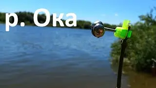 Ловим на живца. Река Ока
