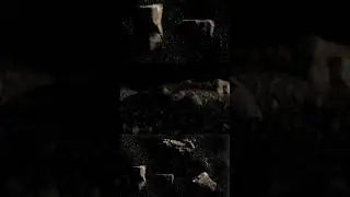 Some X Particles R&D 
