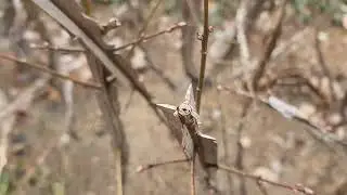 끙이 산책로 ~^^