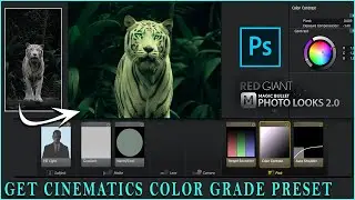 GET CINEMATICS LOOKS USING PLUGINS IN PHOTOSHOP