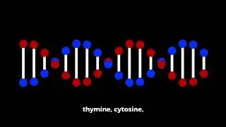 DNA how many gigabyte of data can store?