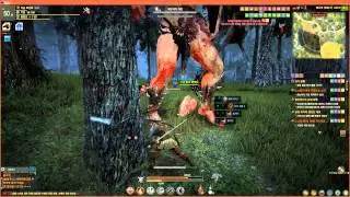 Black Desert Online OBT Korean :Warrior vs Якорь мне в .................. ;D