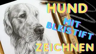Hund zeichnen mit Bleistiften - Tipps und Timelapse