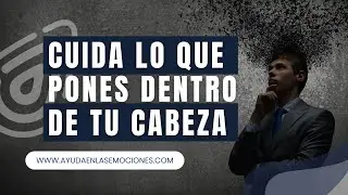 Cuida lo que pones dentro de tu cabeza