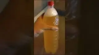 пиво