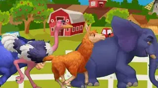 Green screen Elephant Animal Video free copyright