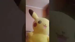 siiiiii