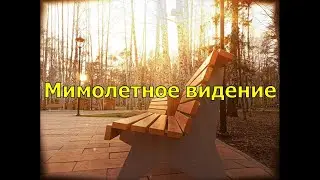 Мимолетное видение #стихи