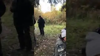 74 е по белке(2/1)