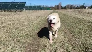 Missy is having a good day!!!