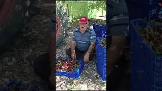 8 Ocak 2024