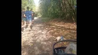 Cooper sees a pack Of runners