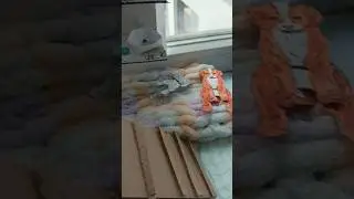 обзор на дом бумажных собак часть 2 #бумажныесобаки
