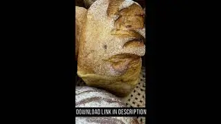 Panning Shot Various Breads on a Basket | Free Stock Video Footage HD 4K