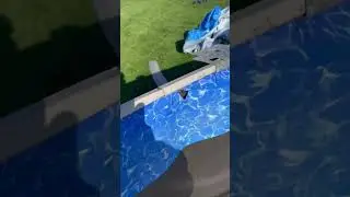 Overlap liner and why coping is important #shorts #shortsvideo #shortsvideo  #abovegroundpools #pool