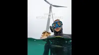 Divers Spear Fish Under Windmills #adventure #fishing #diving #boating #ocean