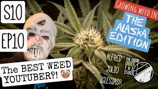 S10 EP10:  I’m back!  Best weed YouTuber with week #4 of flower under spider farmer.   Nuff said!