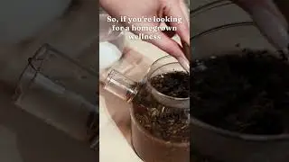 Jasmine Tea with Real Jasmine Buds?!