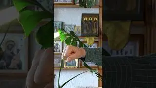 #православие не доказуемо
