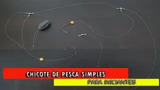 Are you a beginner? Whale for Beach Fishing / Easy-to-do Background [Tips and Fisheries]